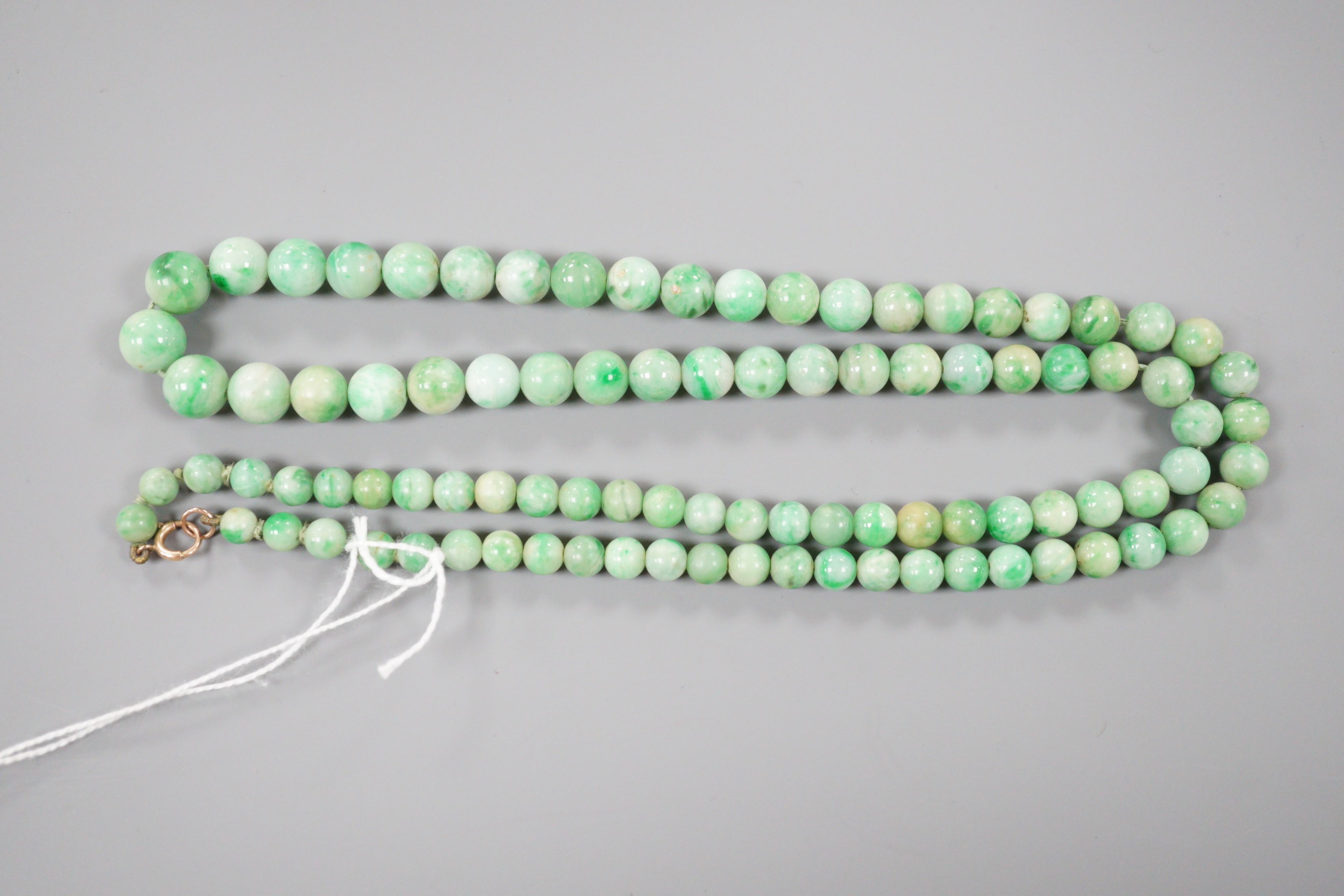 A single strand graduated circular jade bead necklace, with 9ct clasp, 66cm.